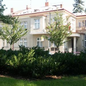 MB Vila DDM, Na Výstavišti