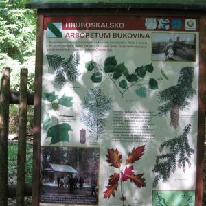 Arboretum Bukovina