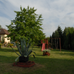 Ubytování Vila Sobotka