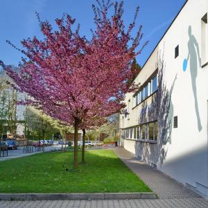 Sportcentrum TJ Turnov, author: TJ Turnov