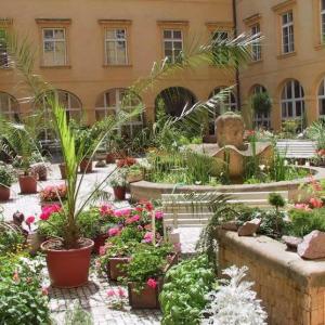 Arboretum Kopidlno