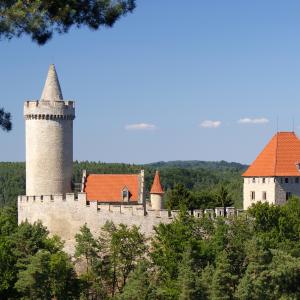 Kokořín, autor: Jan Pasler