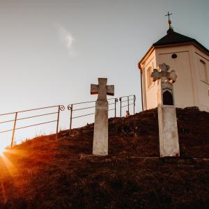 Vyskeř, autor: Podobský Jakub