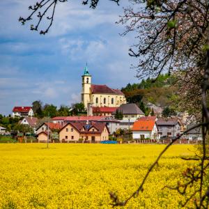 Všeň, Autor: Míra Chmela