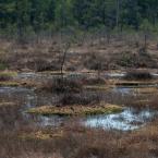 Naučná stezka SWAMP, autor: Vít Černý