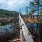Naučná stezka SWAMP, Autor: Vít Černý