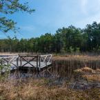 Naučná stezka SWAMP, Autor: Vít Černý