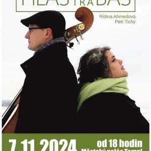 Plakát Hlas kontra Bas.jpg