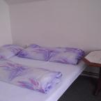 Pension U Turka