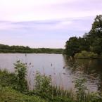 Arboretum Kopidlno