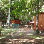 Camp Perla, Autor: Vlasta Dubská