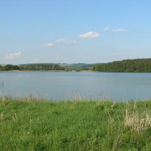 Červenský rybník