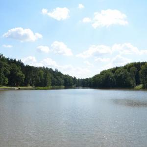 Mlýnský rybník