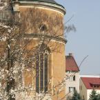 Sbor českých bratří