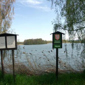 Žabakor