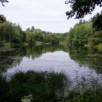 Vrchbělá