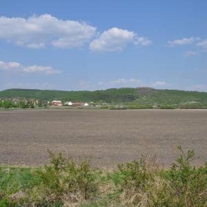 Chlum, Autor: Milada Vrbová