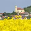 Kostel sv. Filipa a Jakuba, Autor: Milan Drahoňovský