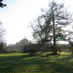 Zámek Kopidlno - park, author: jan špelda