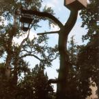 LOUČEŇ Zámecký park, autor: archiv-infocentrum Mladoboleslavsko