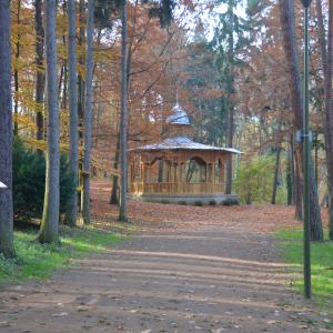 NS za veverkami, autor: archiv IC Mladá Boleslav