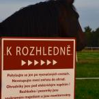 Rozhledna Vrchovina, Autor: Josef Hruška
