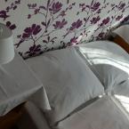 Hotel Kamýk***